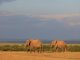 Kruger National Park